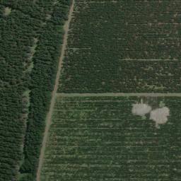 Satellite imagery of XLIV, NZ