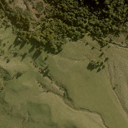 Satellite imagery of TOHUNGA, NZ