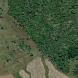 Satellite imagery of Mangateitei, NZ