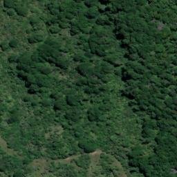 Satellite imagery of Mangateitei, NZ