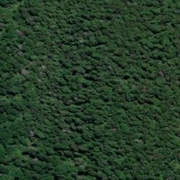 Satellite imagery of Mangateitei, NZ