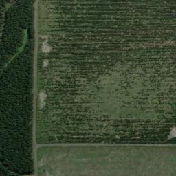 Satellite imagery of XLIV, NZ