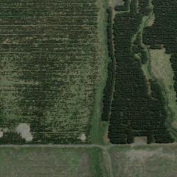 Satellite imagery of XLIV, NZ