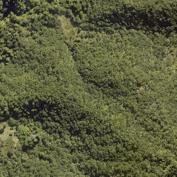 Satellite imagery of F RANGANUI, NZ