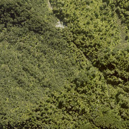 Satellite imagery of F RANGANUI, NZ