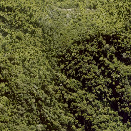 Satellite imagery of F RANGANUI, NZ