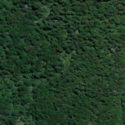 Satellite imagery of Mangateitei, NZ