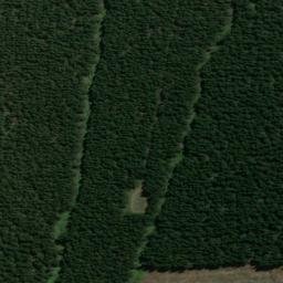 Satellite imagery of XLIV, NZ