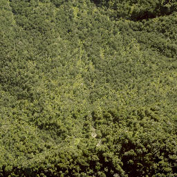 Satellite imagery of F RANGANUI, NZ