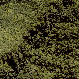 Satellite imagery of F RANGANUI, NZ