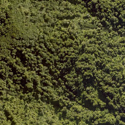 Satellite imagery of F RANGANUI, NZ