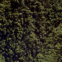Satellite imagery of F RANGANUI, NZ
