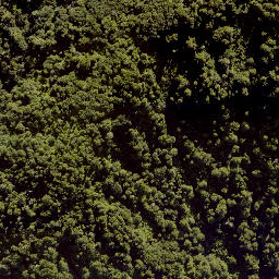 Satellite imagery of F RANGANUI, NZ