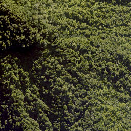 Satellite imagery of F RANGANUI, NZ