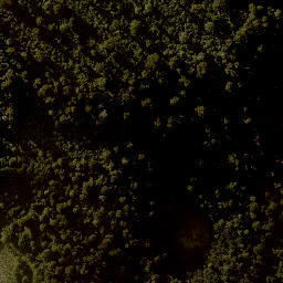 Satellite imagery of BECA CARTER 1, NZ