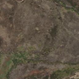 Satellite imagery of M 44, NZ