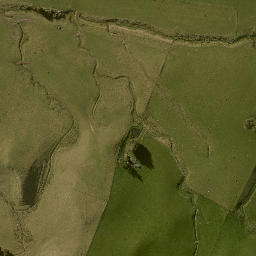 Satellite imagery of RATA, NZ