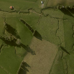 Satellite imagery of RATA, NZ