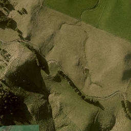 Satellite imagery of RATA, NZ