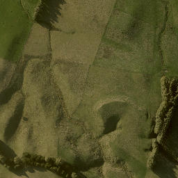Satellite imagery of RATA, NZ