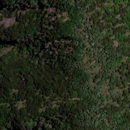 Satellite imagery of Cerro Lepe, CL
