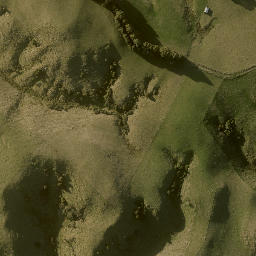 Satellite imagery of RATA, NZ