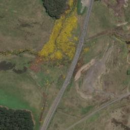 Satellite imagery of 7 WAITANGI, NZ