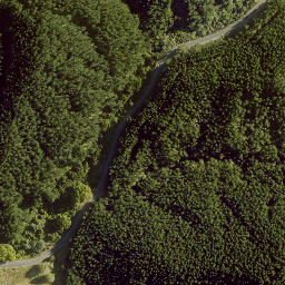 Satellite imagery of WAIPUNA, NZ