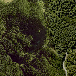 Satellite imagery of WAIPUNA, NZ
