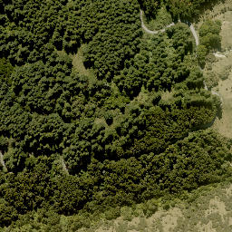 Satellite imagery of WAIPUNA, NZ