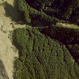 Satellite imagery of WAIPUNA, NZ