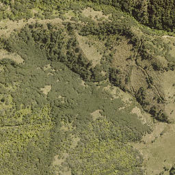 Satellite imagery of WHAKAPAENOA, NZ