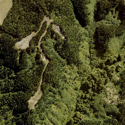 Satellite imagery of WHAKAPAENOA, NZ