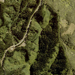 Satellite imagery of WHAKAPAENOA, NZ