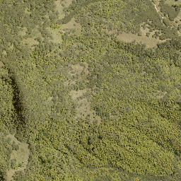 Satellite imagery of WHAKAPAENOA, NZ