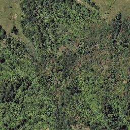Satellite imagery of OTIRANUI NO 3, NZ