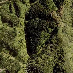 Satellite imagery of WHAKAPAENOA, NZ