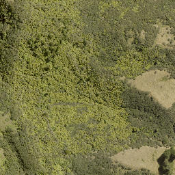 Satellite imagery of WHAKAPAENOA, NZ
