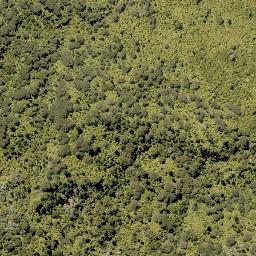 Satellite imagery of Upokunui Pa, NZ