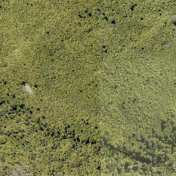Satellite imagery of Upokunui Pa, NZ