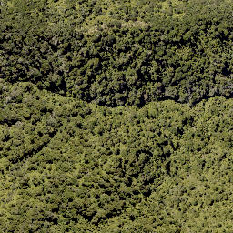 Satellite imagery of Upokunui Pa, NZ