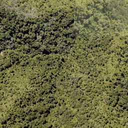Satellite imagery of Upokunui Pa, NZ