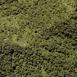 Satellite imagery of Upokunui Pa, NZ