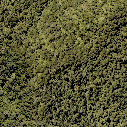 Satellite imagery of Upokunui Pa, NZ