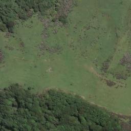 Satellite imagery of P OKOTINGA, NZ