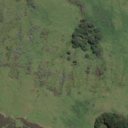 Satellite imagery of P OKOTINGA, NZ