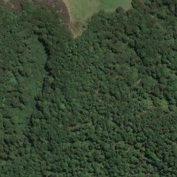 Satellite imagery of P OKOTINGA, NZ