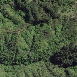 Satellite imagery of C MANGAONE, NZ
