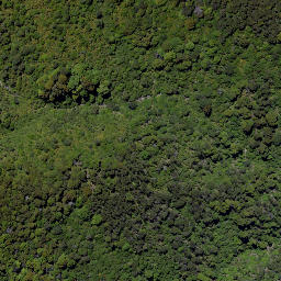 Satellite imagery of Wild Sheep Spur, NZ