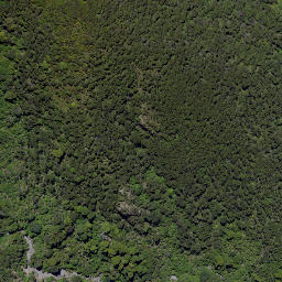 Satellite imagery of Wild Sheep Spur, NZ